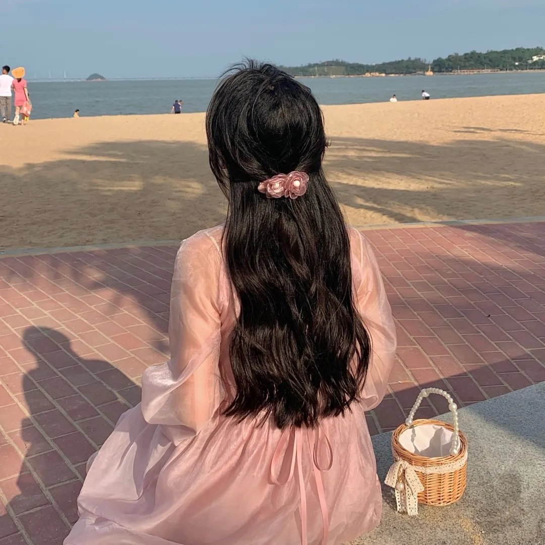 来自收容所的爱