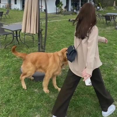 超能萌妹战江湖